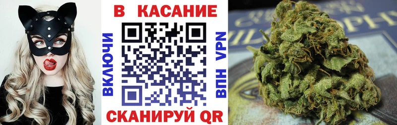 МЕФ Воронеж
