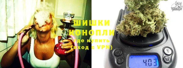 стаф Белокуриха