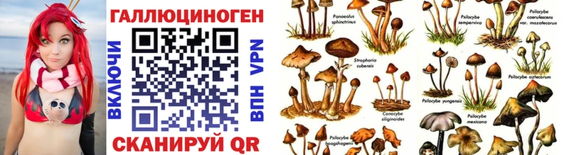 Псилоцибиновые грибы Psilocybine cubensis  Воронеж 